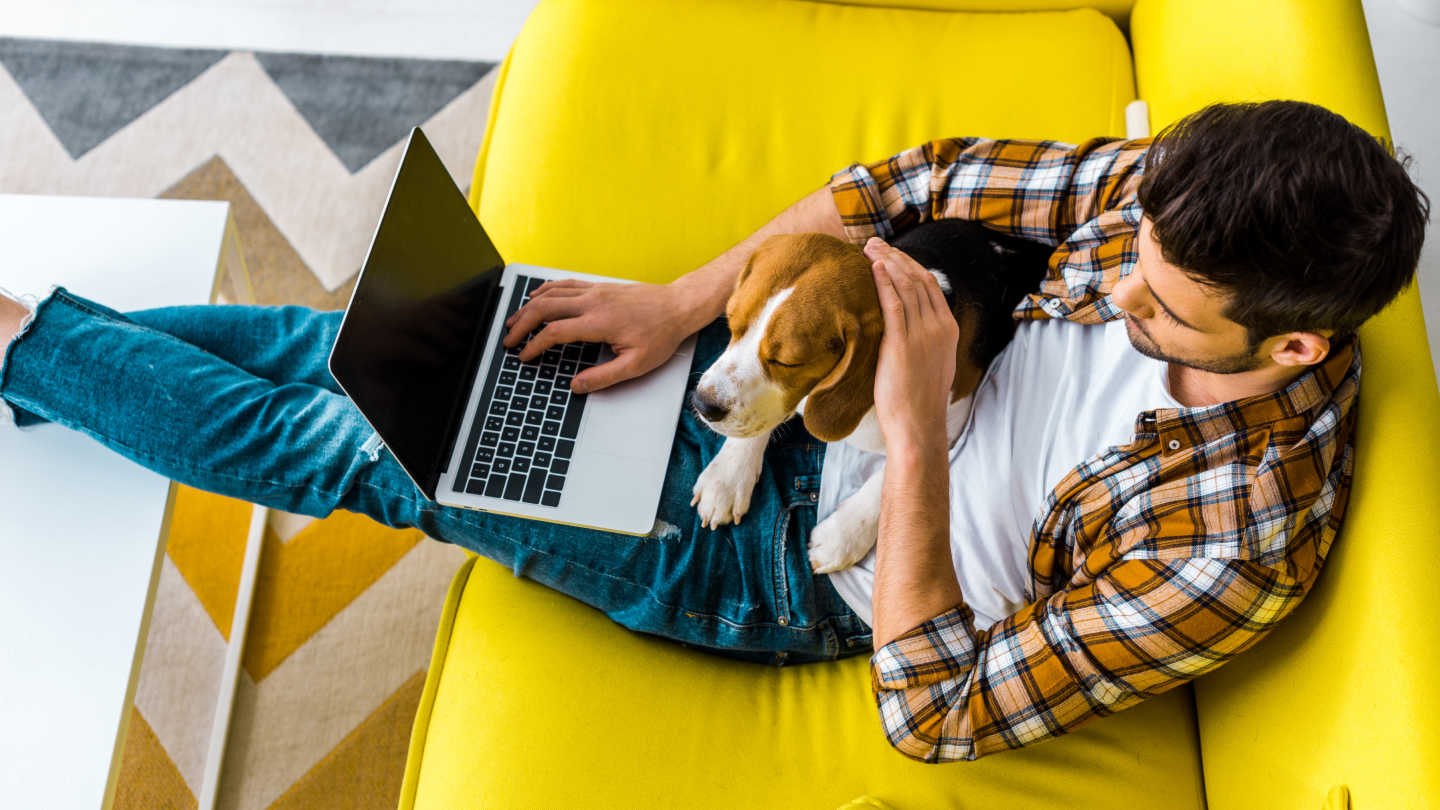 Мужчина сидит на желтом диване с собакой и использует ноутбук.