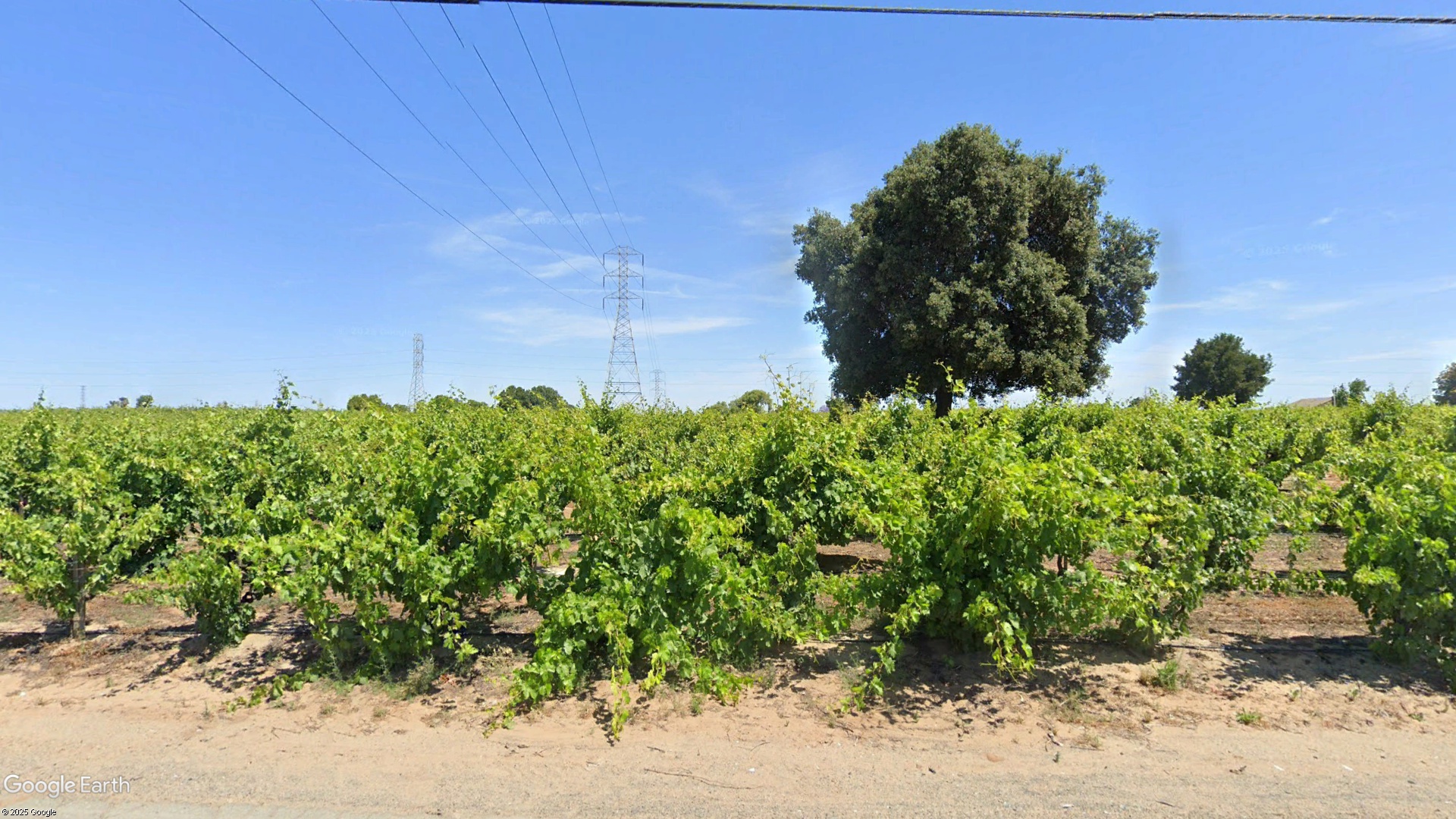lupain ng tribo sa Antioch, Oakley Road