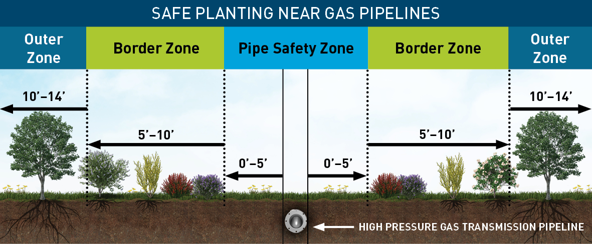 Planting near gas pipelines