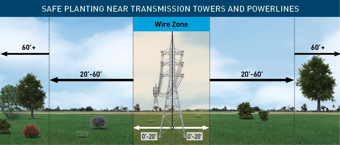 Planting under transmission lines